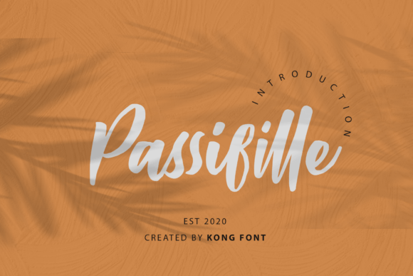 Passifille: The Playful Script Font for Modern Creators