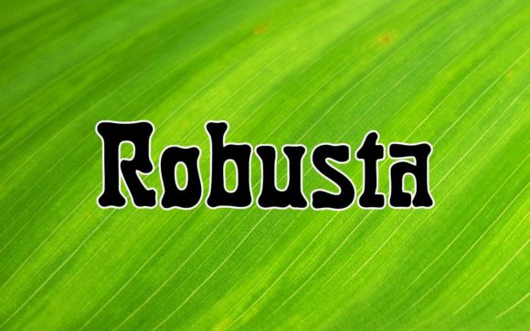 Robusta: The Flowing Font That Elevates Modern Design